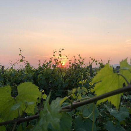 Апартаменты La Corte Del Bona - Vicino Alle Cantine E A Circa 15 Minuti Dal Lago Di Iseo - Эрбуско Экстерьер фото