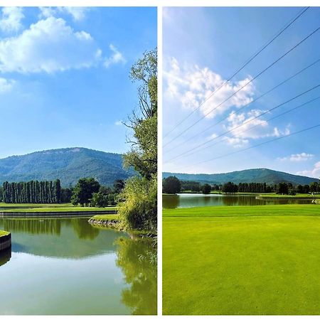 Апартаменты La Corte Del Bona - Vicino Alle Cantine E A Circa 15 Minuti Dal Lago Di Iseo - Эрбуско Экстерьер фото