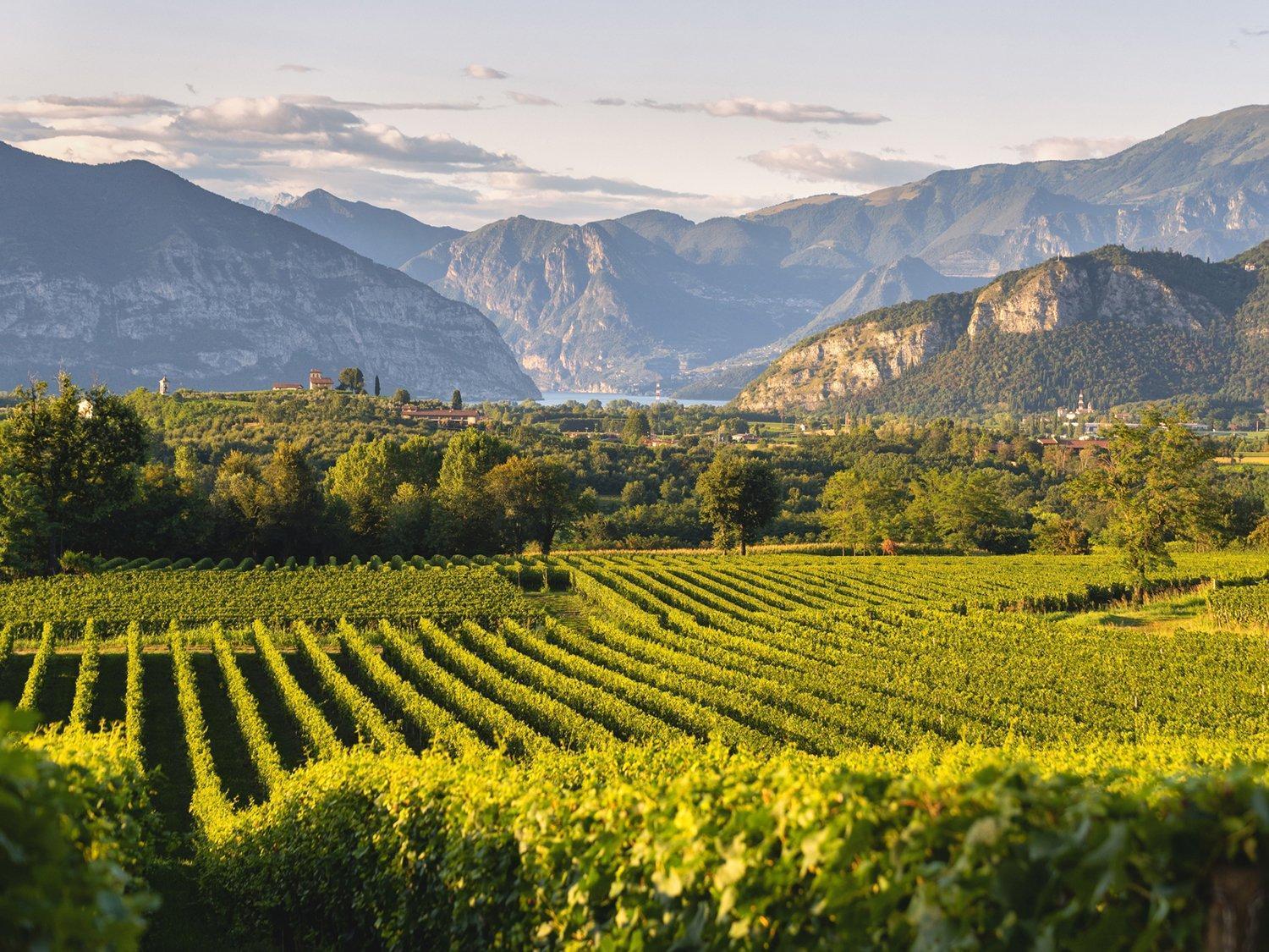 Апартаменты La Corte Del Bona - Vicino Alle Cantine E A Circa 15 Minuti Dal Lago Di Iseo - Эрбуско Экстерьер фото