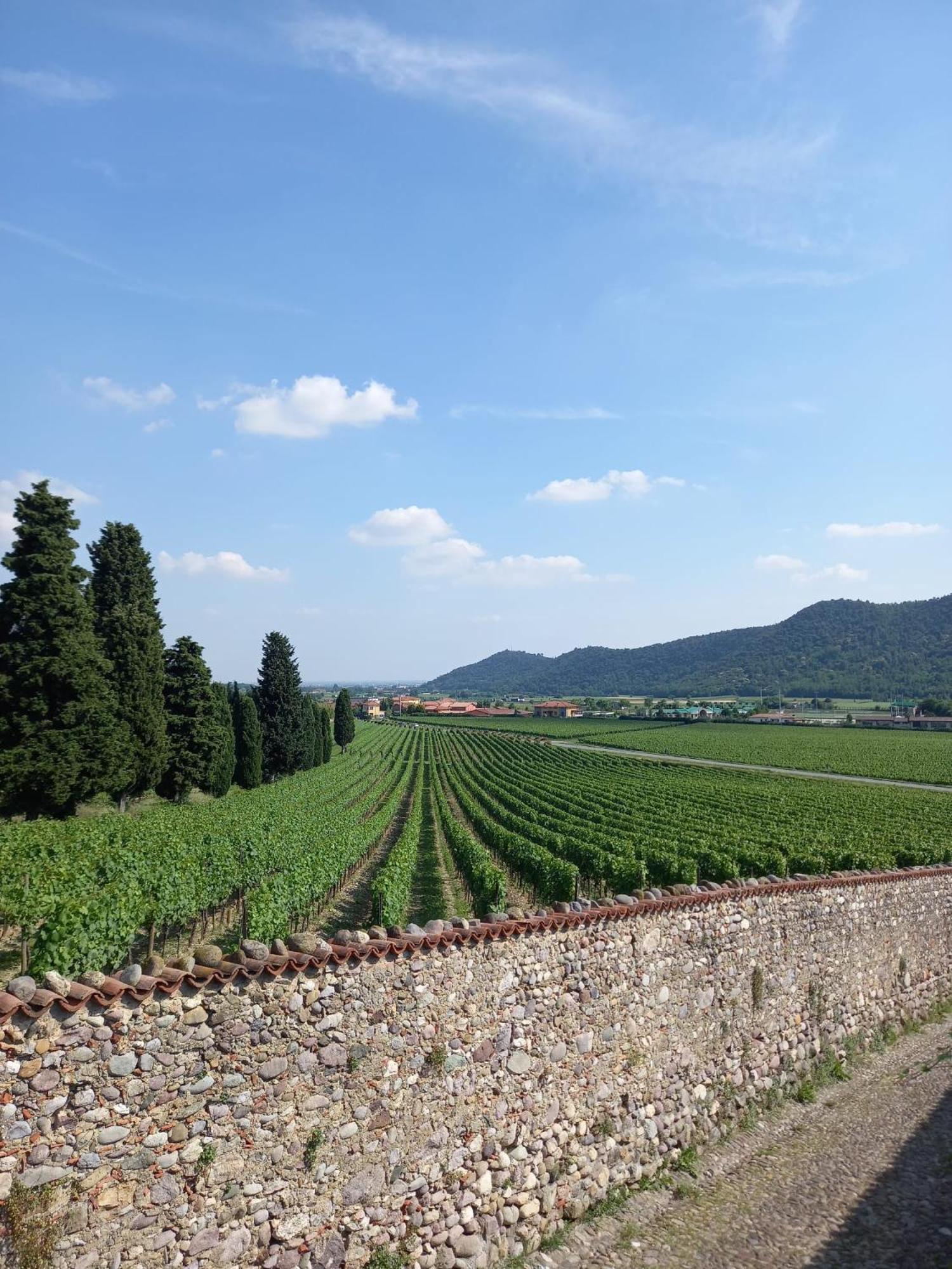 Апартаменты La Corte Del Bona - Vicino Alle Cantine E A Circa 15 Minuti Dal Lago Di Iseo - Эрбуско Экстерьер фото